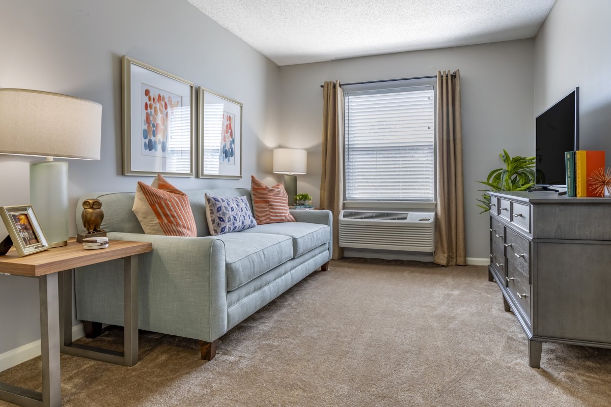 A cozy living room with a light blue sofa, decorative pillows, and framed artwork on the wall. The room is well-lit with a table lamp beside the sofa and natural light from a large window with curtains.