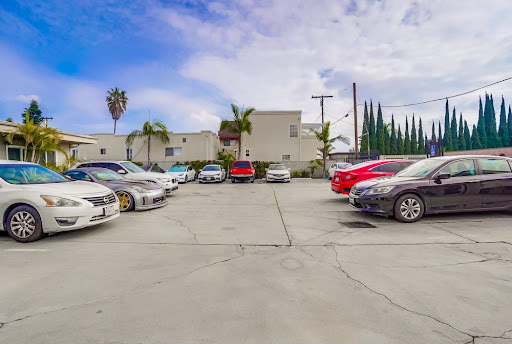 A vibrant parking lot filled with various cars, framed by palm trees and a clear blue sky.