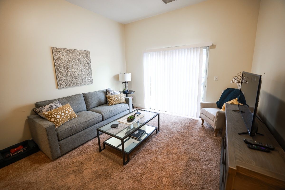 A cozy living room with a gray sofa, glass coffee table, and soft lighting.