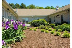 A well-maintained courtyard garden featuring flowers and shrubs.