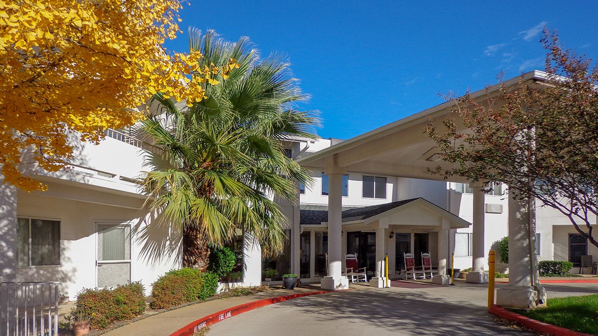 A sunny day at a building entrance with palm and autumn trees.