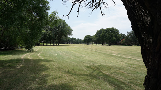 A serene view of a grassy field surrounded by trees under a clear sky.