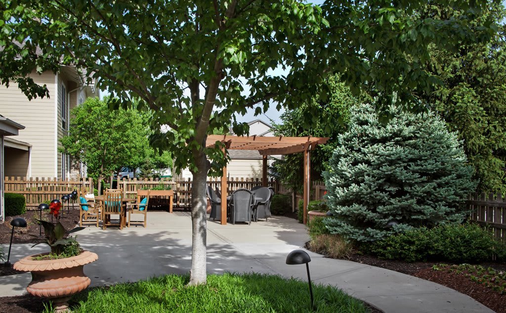 A serene garden with a tree-lined pathway and a wooden pergola.