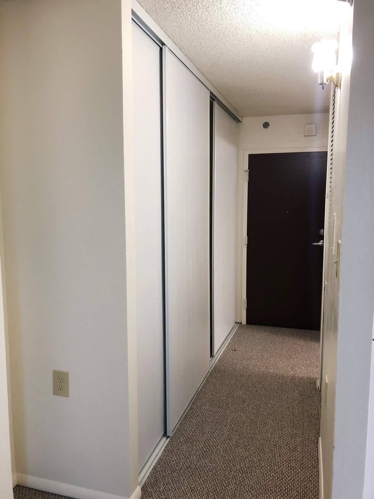 A narrow hallway leading to a dark wooden door in an apartment.