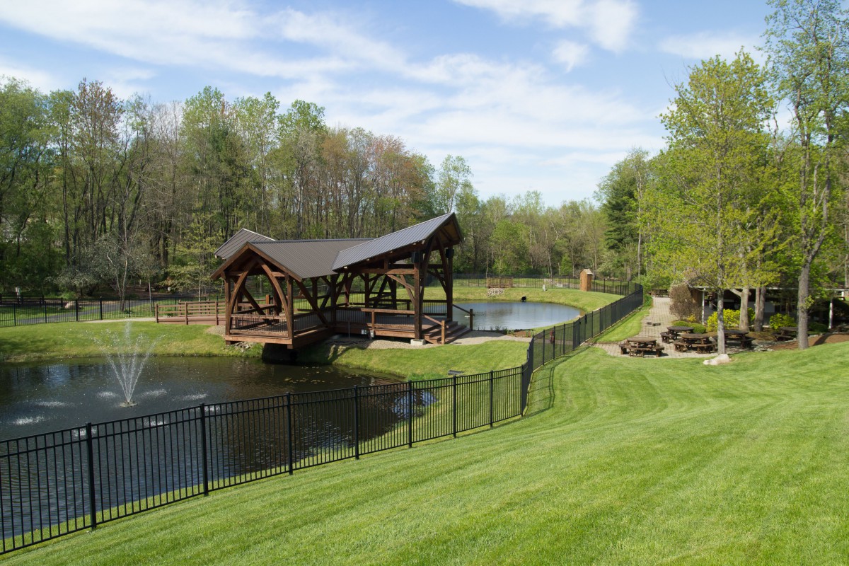 A scenic view of a wooden bridge over a pond surrounded by lush greenery and a black metal fence.