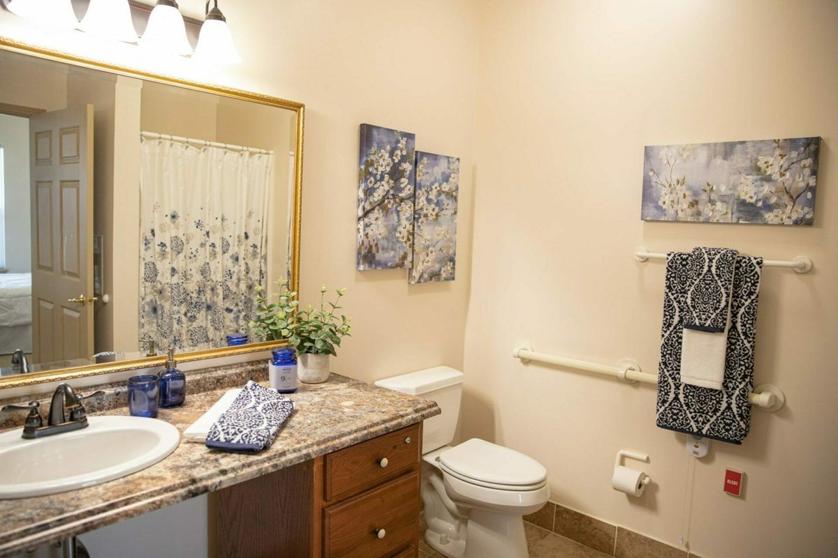 A well-decorated bathroom featuring a sink with a granite countertop, a toilet, and wall art.