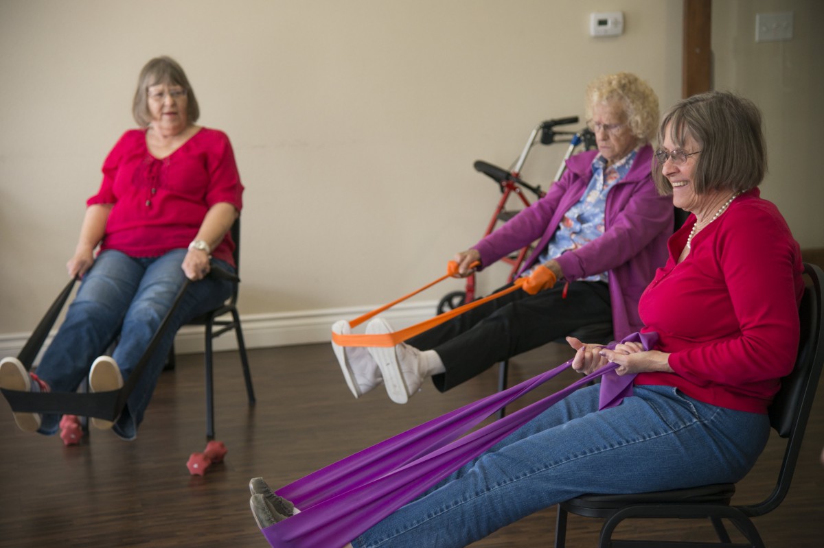 A group of elderly women engaging in a seated exercise session using resistance bands.