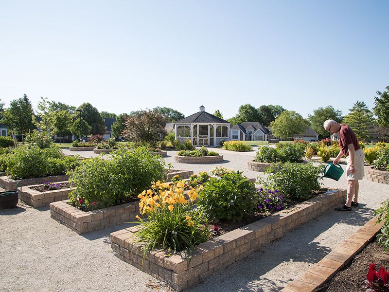A scenic garden with vibrant flowers and a gazebo in the background on a sunny day.
