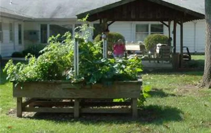 Raised garden beds in a backyard with a house in the background.