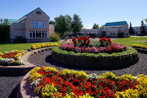 A vibrant garden featuring a variety of colorful flowers, surrounded by well-maintained landscaping and buildings.