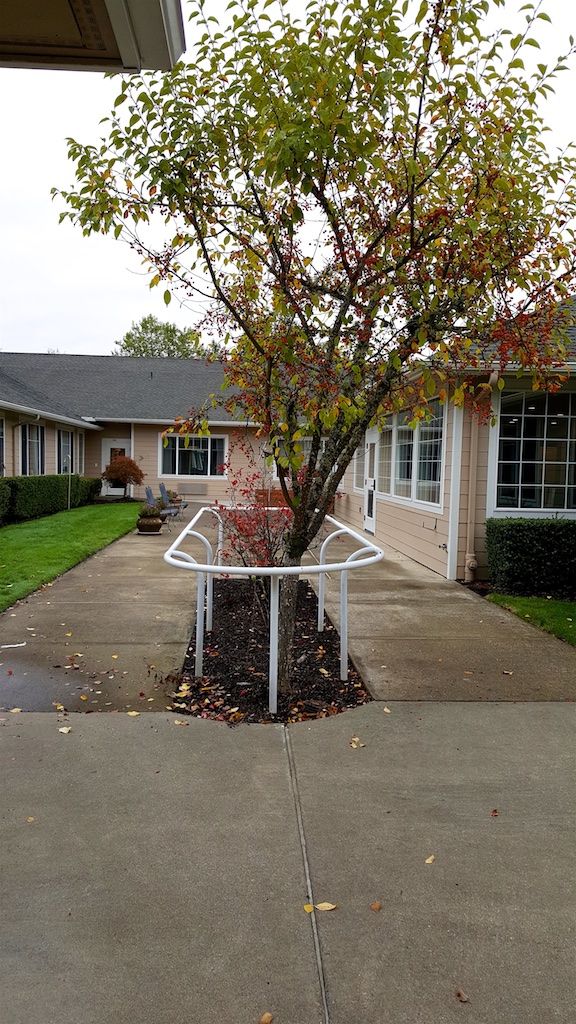 A courtyard with a tree surrounded by a custom rain gutter system.