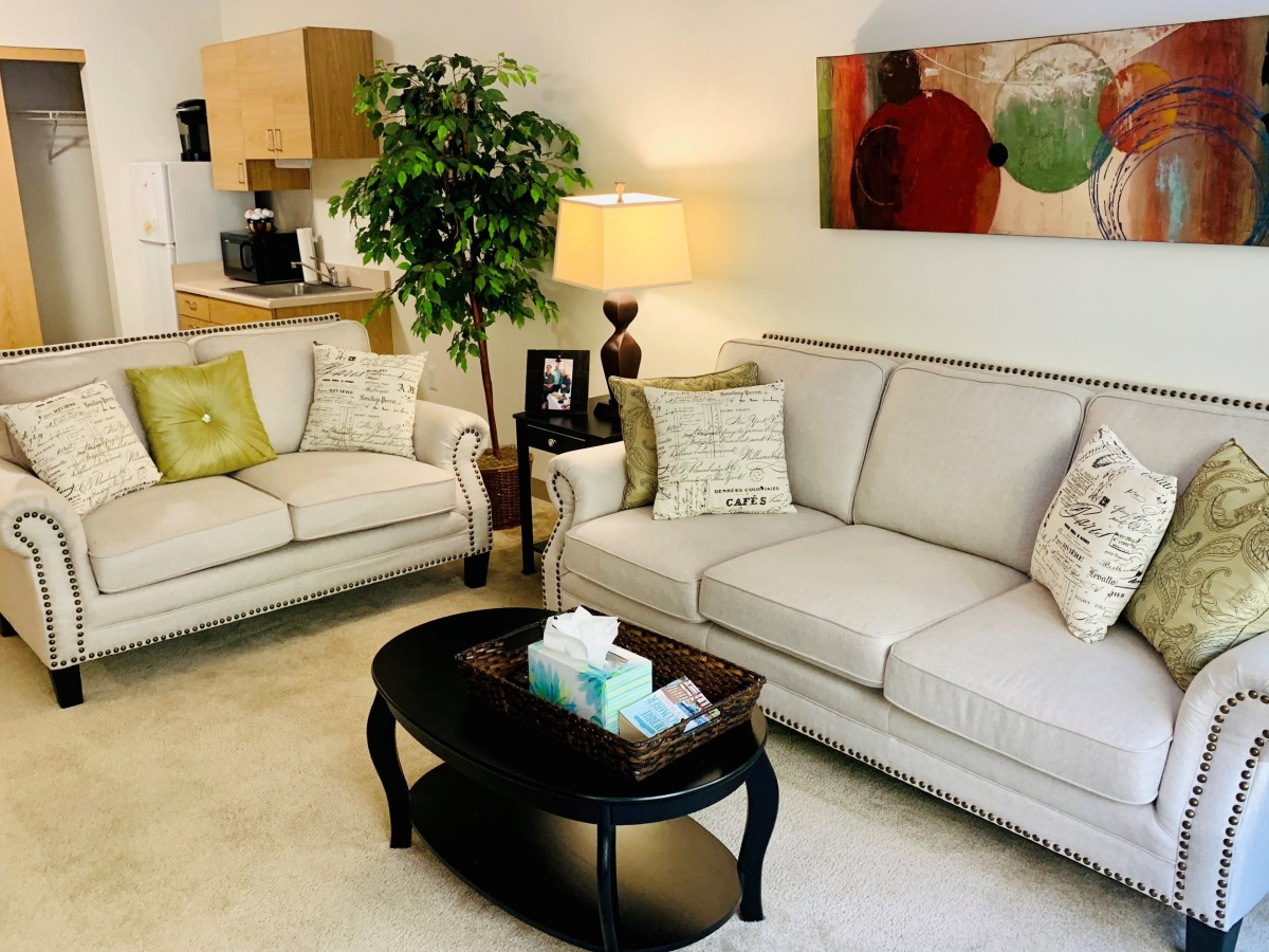 A cozy living room featuring two sofas, a central coffee table, and modern decor elements.