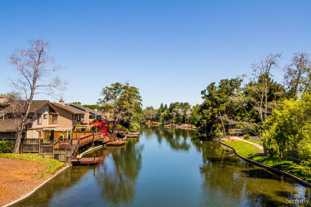 A serene residential area with houses along a calm river, surrounded by lush trees.