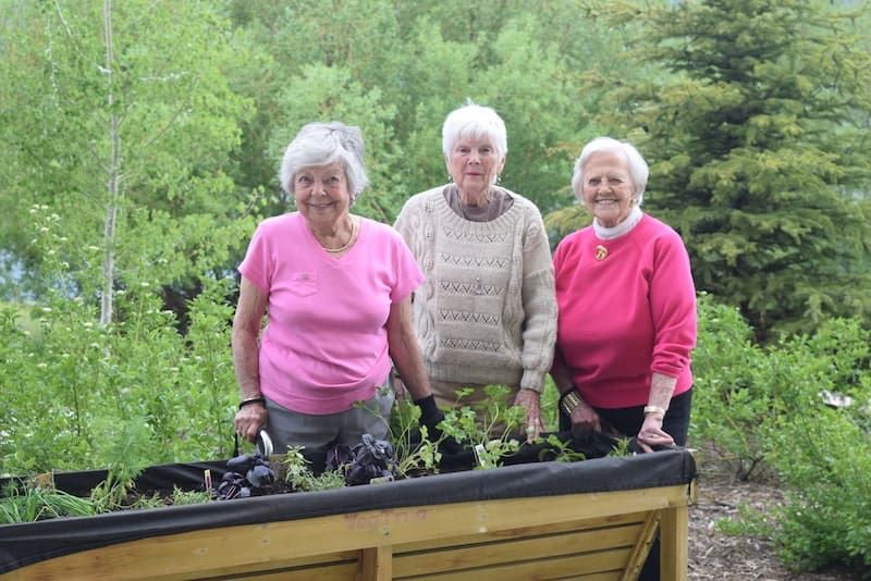 Three elderly women enjoying gardening outdoors in a lush, green setting.