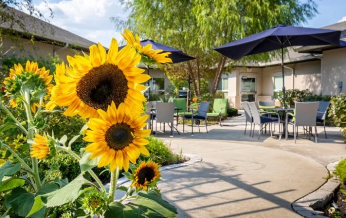 A sunny garden patio area with vibrant sunflowers and outdoor seating.