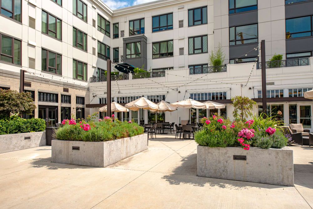 A modern outdoor patio with seating and umbrellas, surrounded by a multi-story building and flower planters.