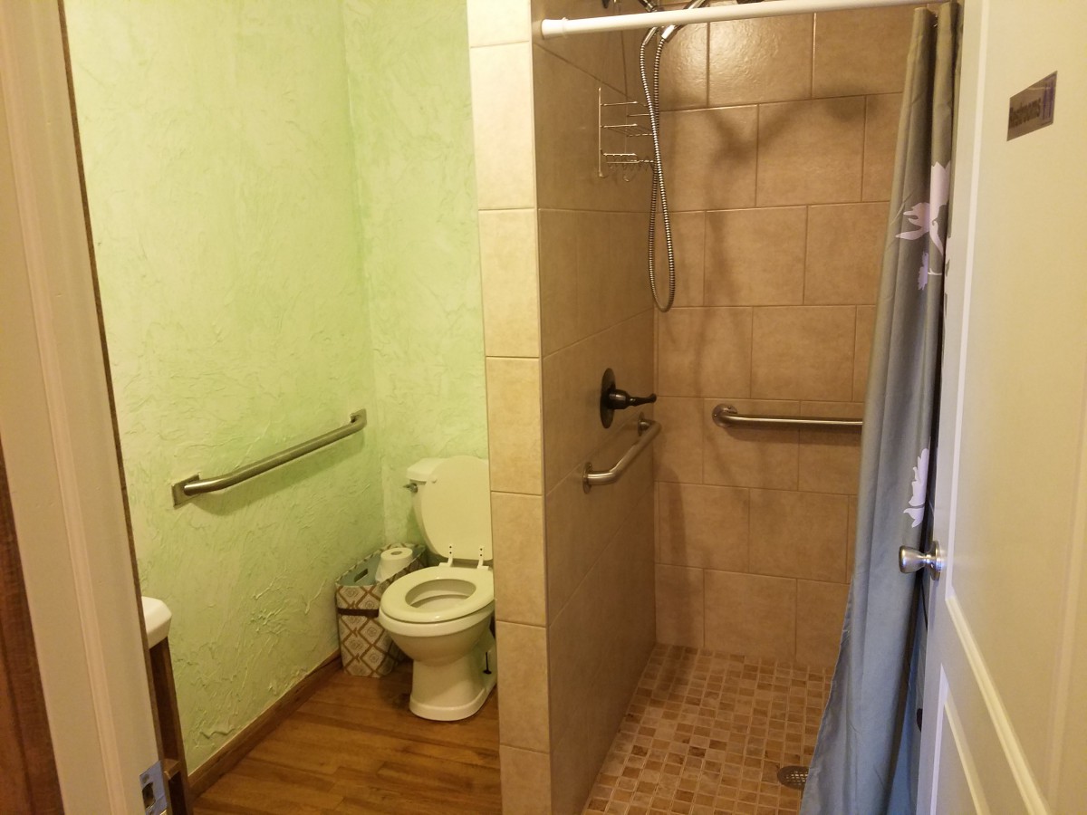 An accessible bathroom with a toilet and walk-in shower equipped with grab bars.
