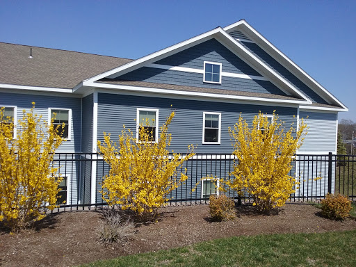 A charming blue house surrounded by vibrant yellow shrubs and a decorative fence.