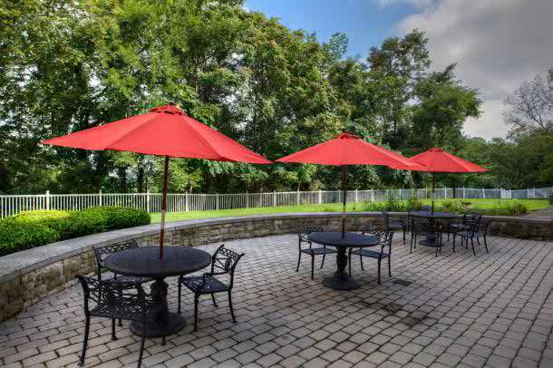 A charming outdoor patio with tables shaded by vibrant red umbrellas, set against a backdrop of lush green trees.