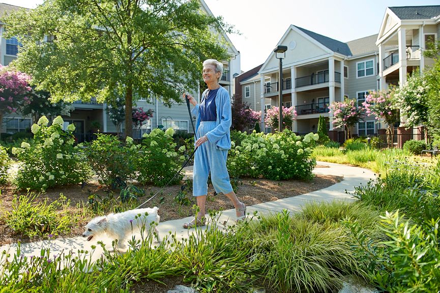 A woman walking her dog in a residential neighborhood on a sunny day.