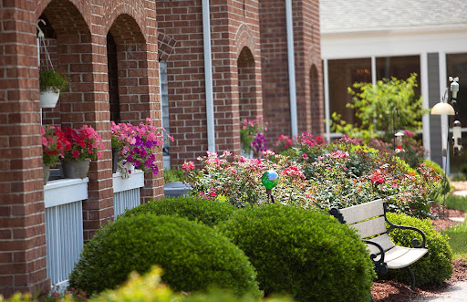 A vibrant garden featuring a variety of colorful flowers and well-maintained shrubs alongside a brick building.