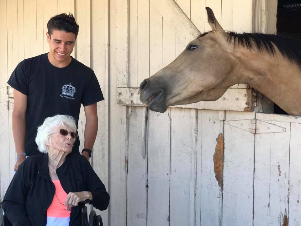 An elderly woman in a wheelchair interacts with a horse at a barn, accompanied by a young man.