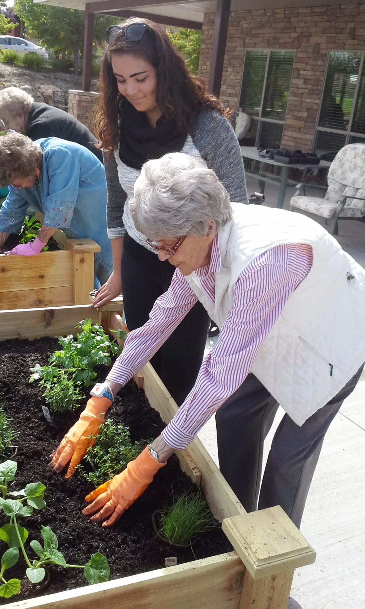 Alpine Meadows Assisted Living