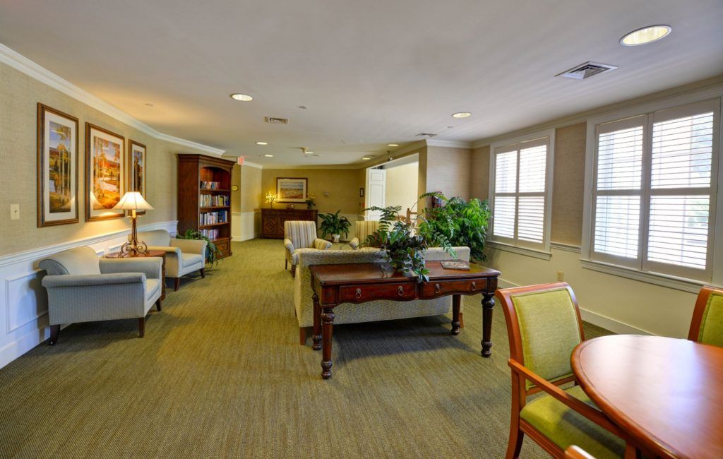 A cozy and well-furnished living room with sofas, chairs, a bookshelf, and indoor plants.