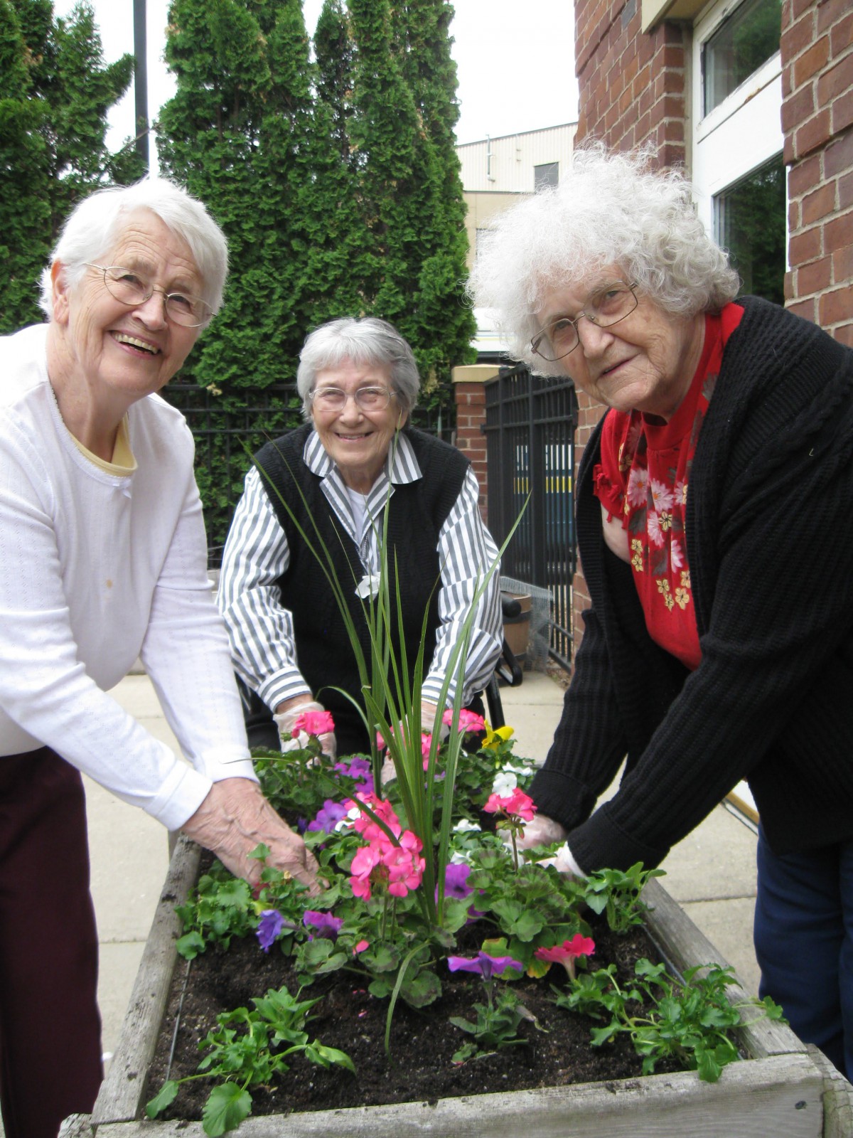 Three elderly women enjoy gardening together, tending to a colorful flower bed outdoors.