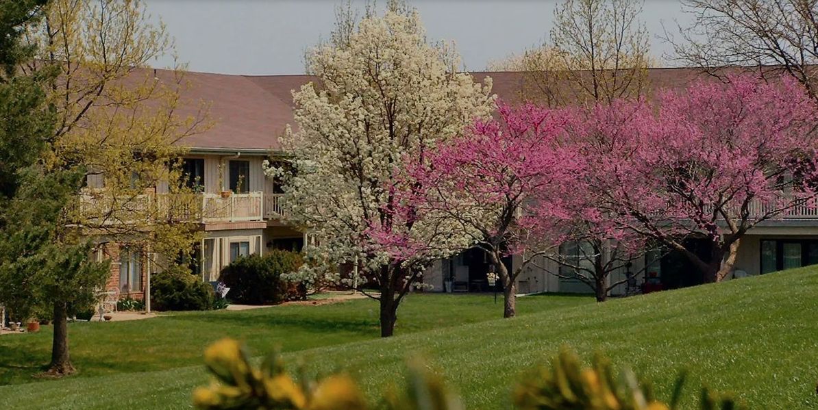 Springtime scene with blooming trees in a landscaped area near a residential building.