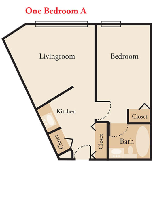 A floor plan of a one-bedroom apartment featuring a living room, kitchen, bathroom, and closets.
