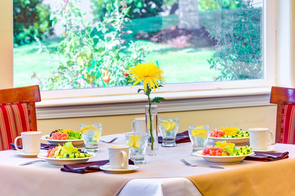 A beautifully set dining table with salads and a yellow flower centerpiece by the window.