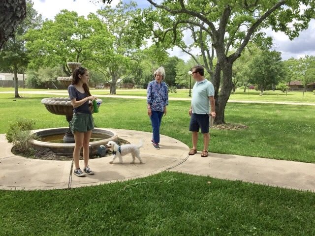 A group of three people and a dog enjoy a sunny day in the park near a fountain.