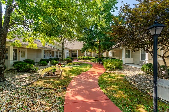 A peaceful courtyard with a red pathway surrounded by trees and greenery.