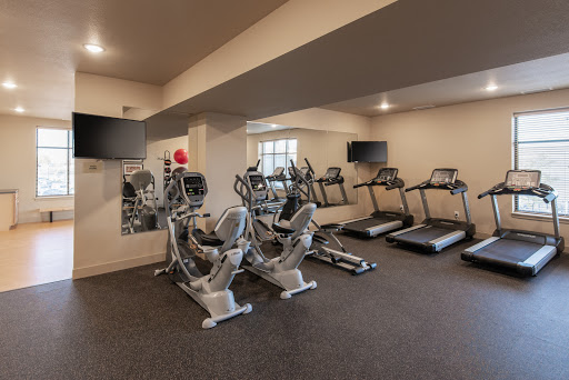 A well-equipped fitness center featuring treadmills and ellipticals, designed for an effective workout.