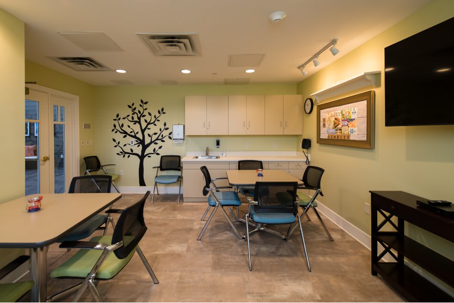 A well-organized meeting room with chairs and tables, featuring a tree mural as wall decoration.