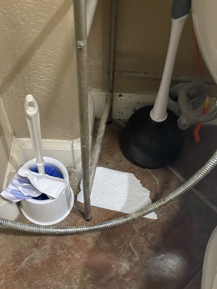 Bathroom corner with a toilet brush and plunger on a tiled floor.
