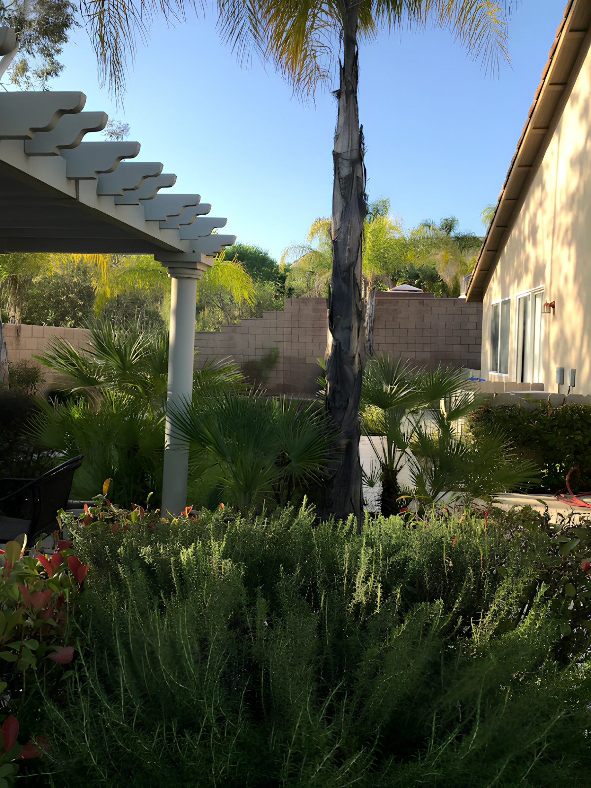 A lush garden area with plants and trees beside a house.