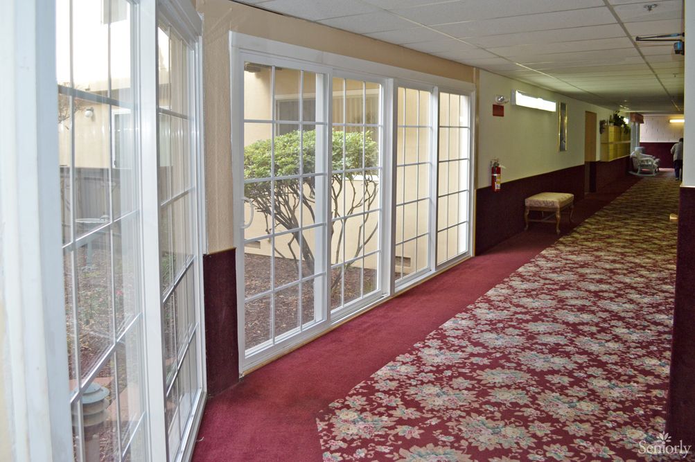 A hallway with large windows and a patterned carpet.