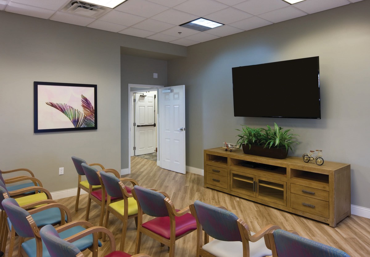 A modern waiting area with colorful chairs, a large television, and plant decorations.
