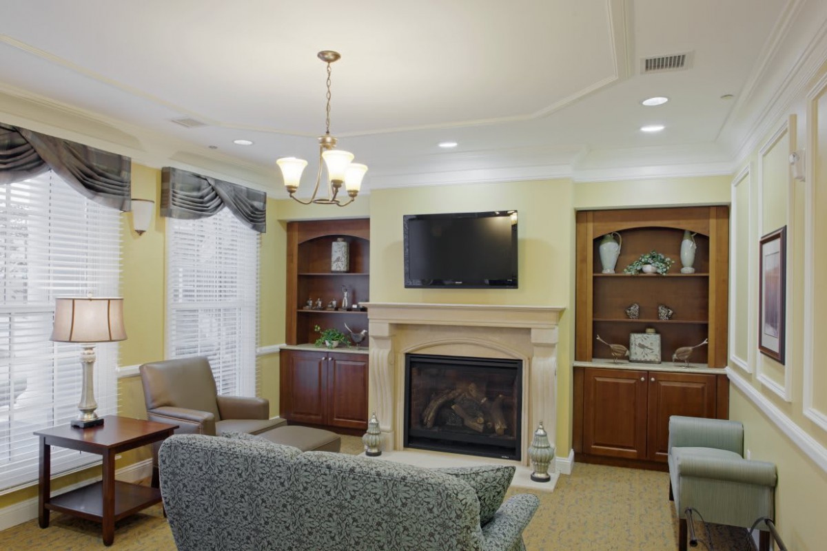 A cozy living room with a fireplace, television, and elegant furniture.
