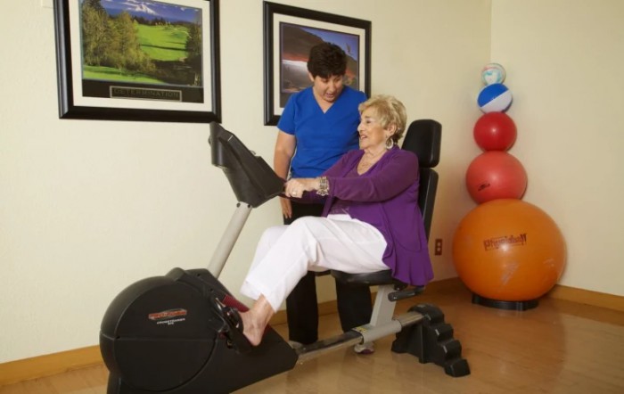A woman assists an older adult with physical therapy exercises using specialized fitness equipment.