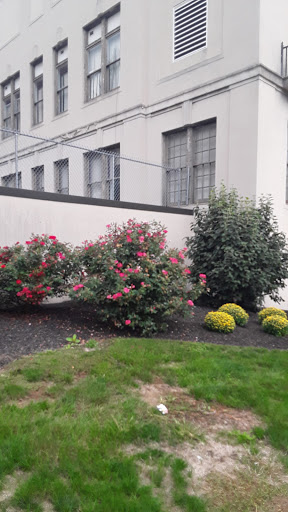 A vibrant garden featuring blooming flowers and lush greenery beside a building.