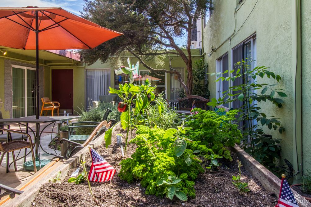 A lush backyard garden with a variety of plants, patio seating, and a sun umbrella.