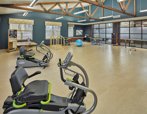 A spacious gym featuring various exercise equipment and a bright, open design.