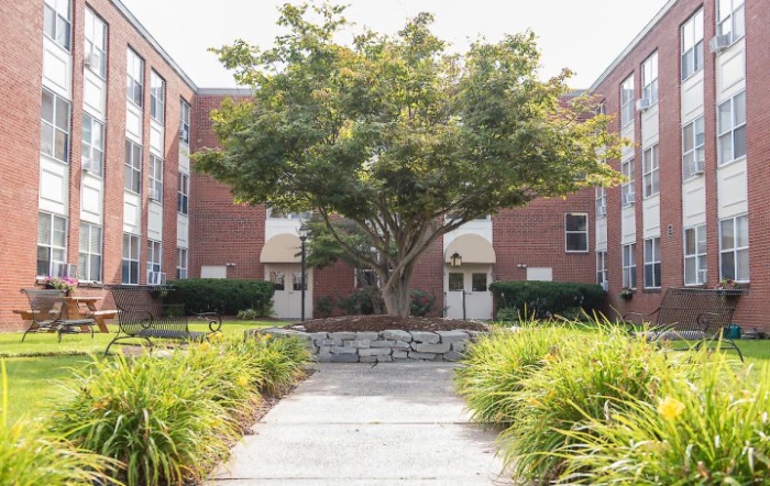A scenic view of a tree surrounded by buildings with a landscaped pathway leading up to it.