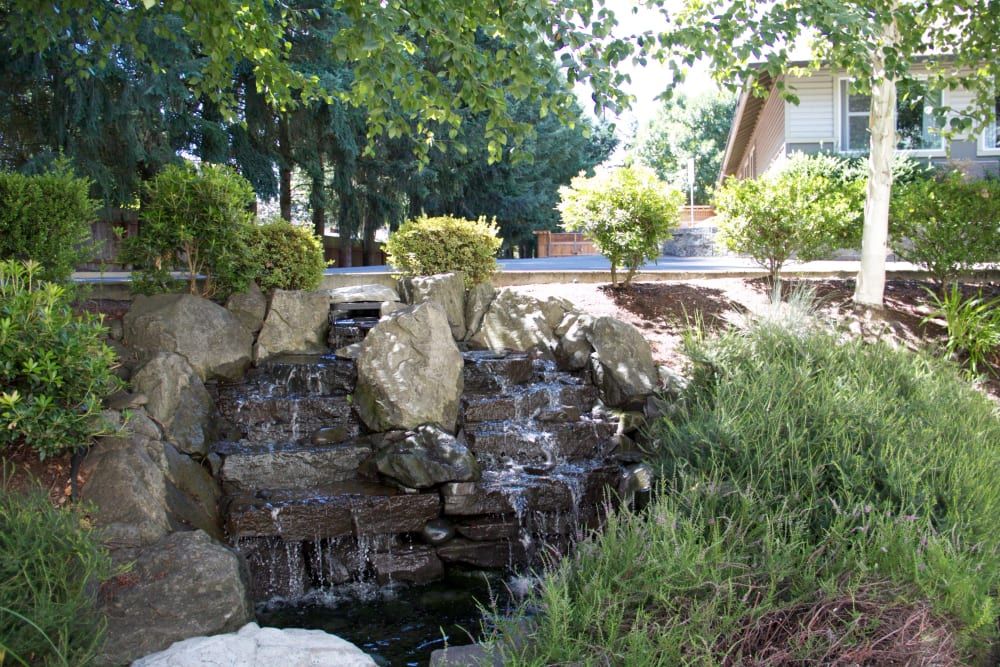 The Springs at Wilsonville
