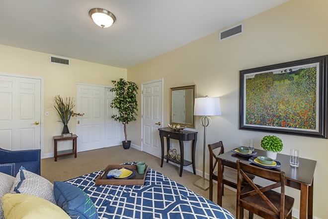 A cozy bedroom with decorative elements including a desk, chair, and plants.