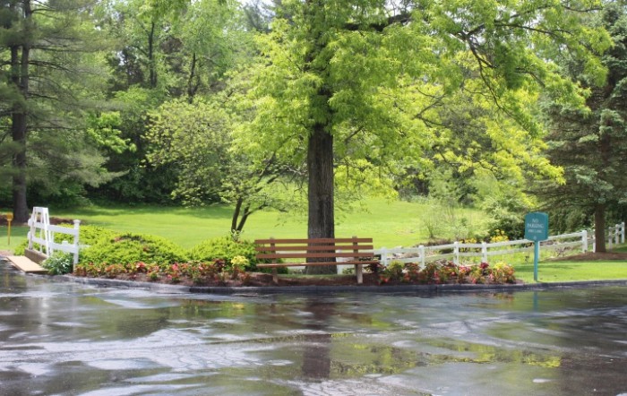 A peaceful park scene with a bench under a tree by the river.