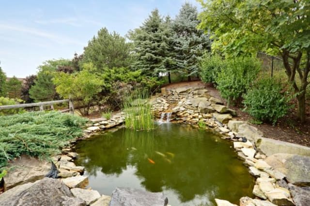 A serene garden pond surrounded by lush greenery and rocks.